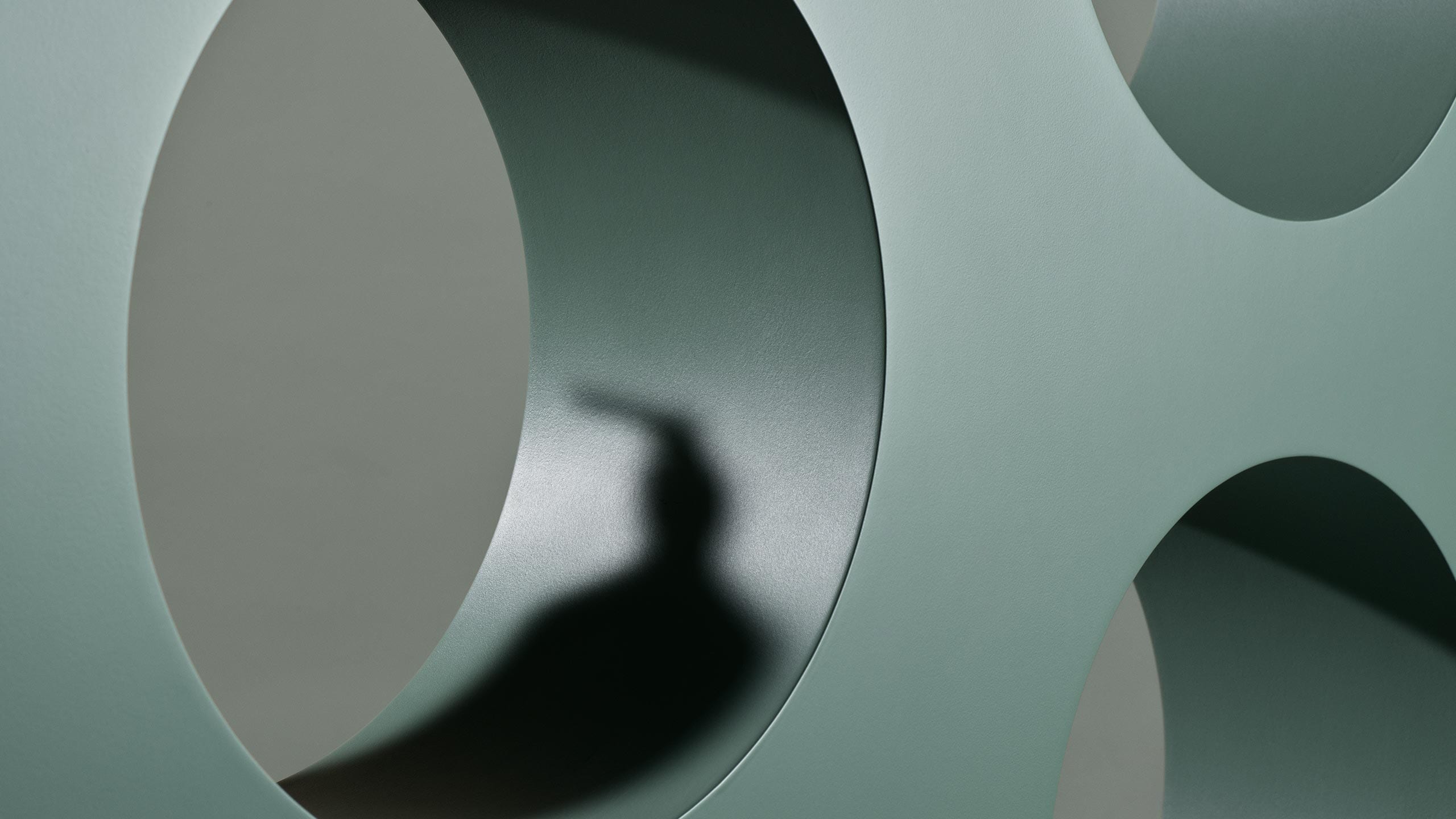 Shadows of Aesop products on green blocks.